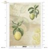 Home Sweet Home, lemon, lemon slices, fruit, twig, leaves, old inscriptions, retro, handwriting, background, Zitrone, Zitronenscheiben, Frucht, Zweig, Blätter, alte Inschriften, Retro, Handschrift, Hintergrund